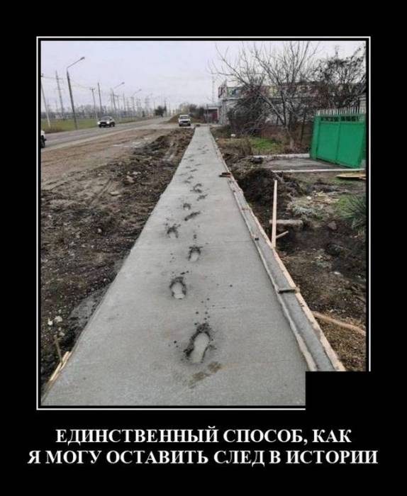 Смешные картинки в чёрной рамке для хорошего настроения! 