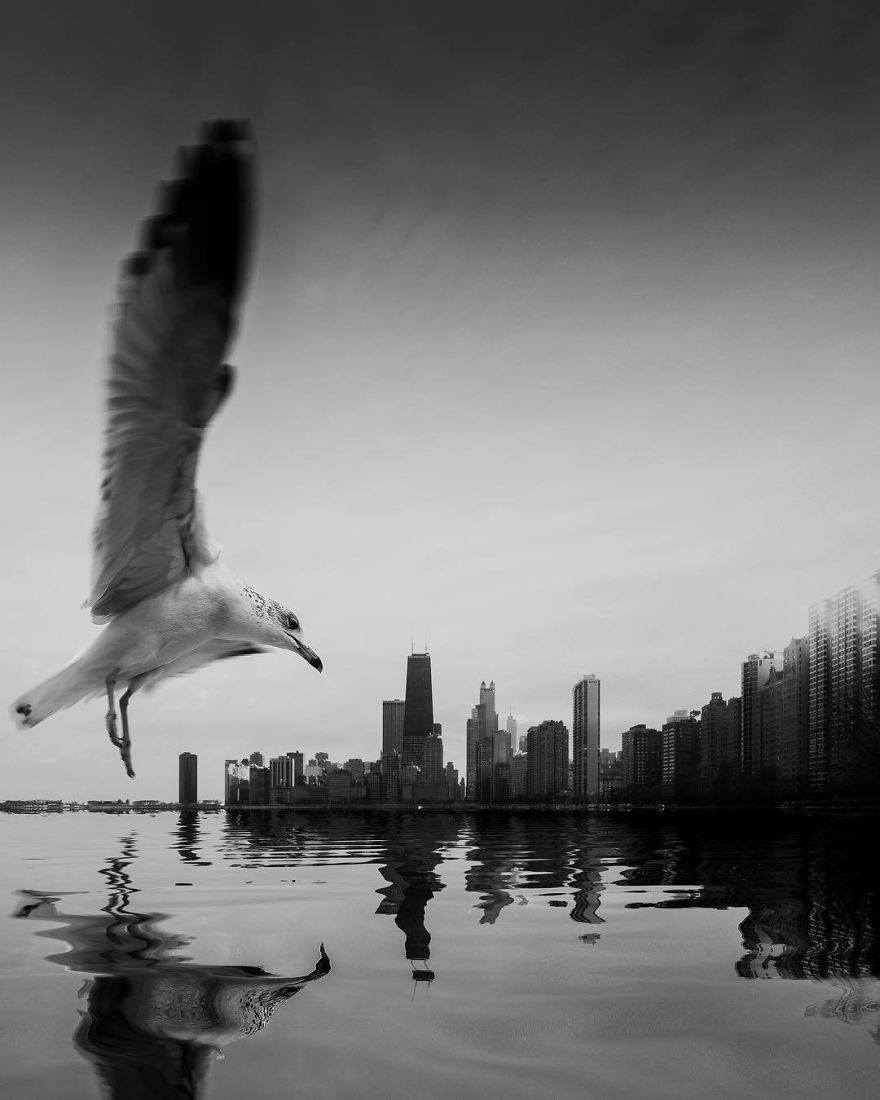 u-etogo-fotografa-1-million-podpischikov-v-instagram-blagodarya-ego-fotografiyam_014