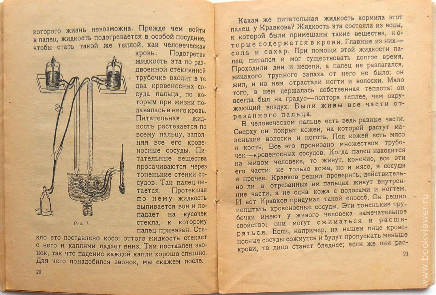 Смерть и Оживление 