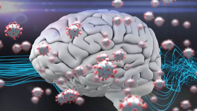 Может ли COVID-19 изменить личность человека? после, мозга, может, COVID19, который, симптомы, проблемы, человека, часто, личность, клетки, пациентов, более, разрушает, изменения, время, результате, могут, коронавирус, вирус