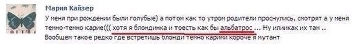 igor2-25061710423942_4