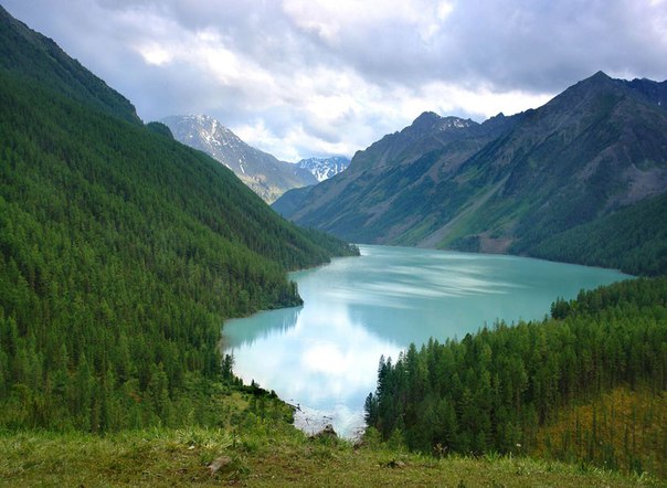 Лето в этом году совершенно не балует нас теплом, а это значит, что пора...