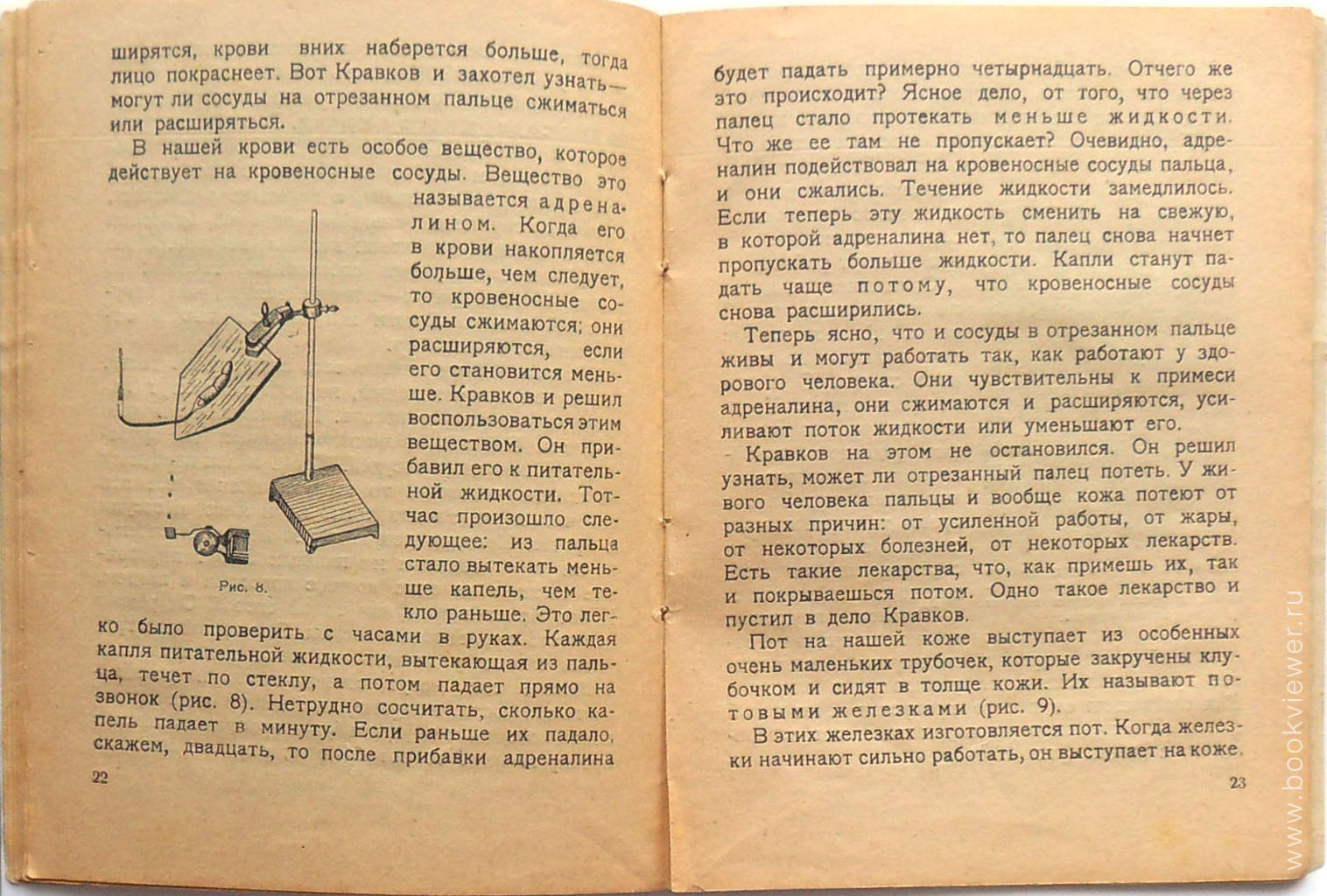 Смерть и Оживление 