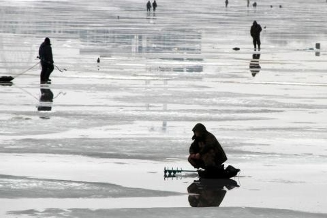 Подборка прикольных картинок  смешные картинки