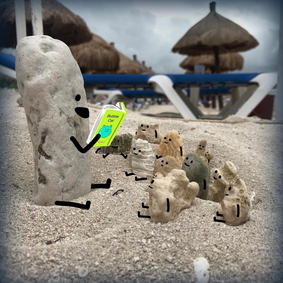 Забавный мир Шона Чармац 