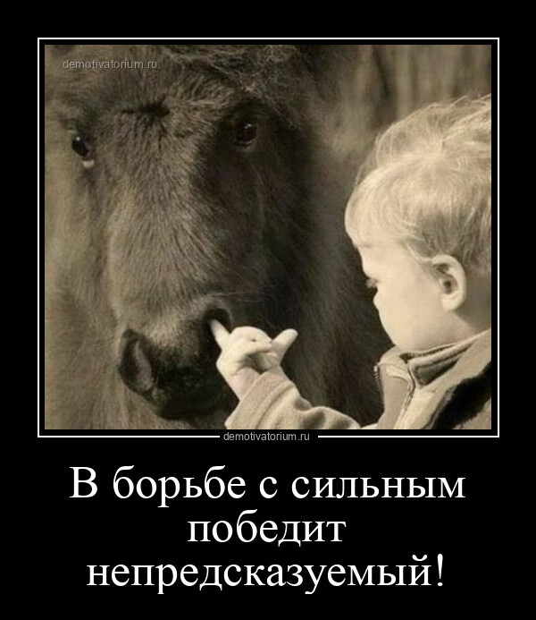 Демотиваторов порция 