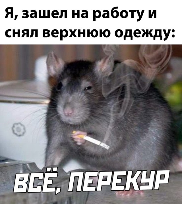 Подборка картинок. Вечерний выпуск Подборка картинок. Вечерний выпуск приколы,смешные картинки,юмор