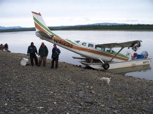 Занимательная Аляска Занимательная Аляска