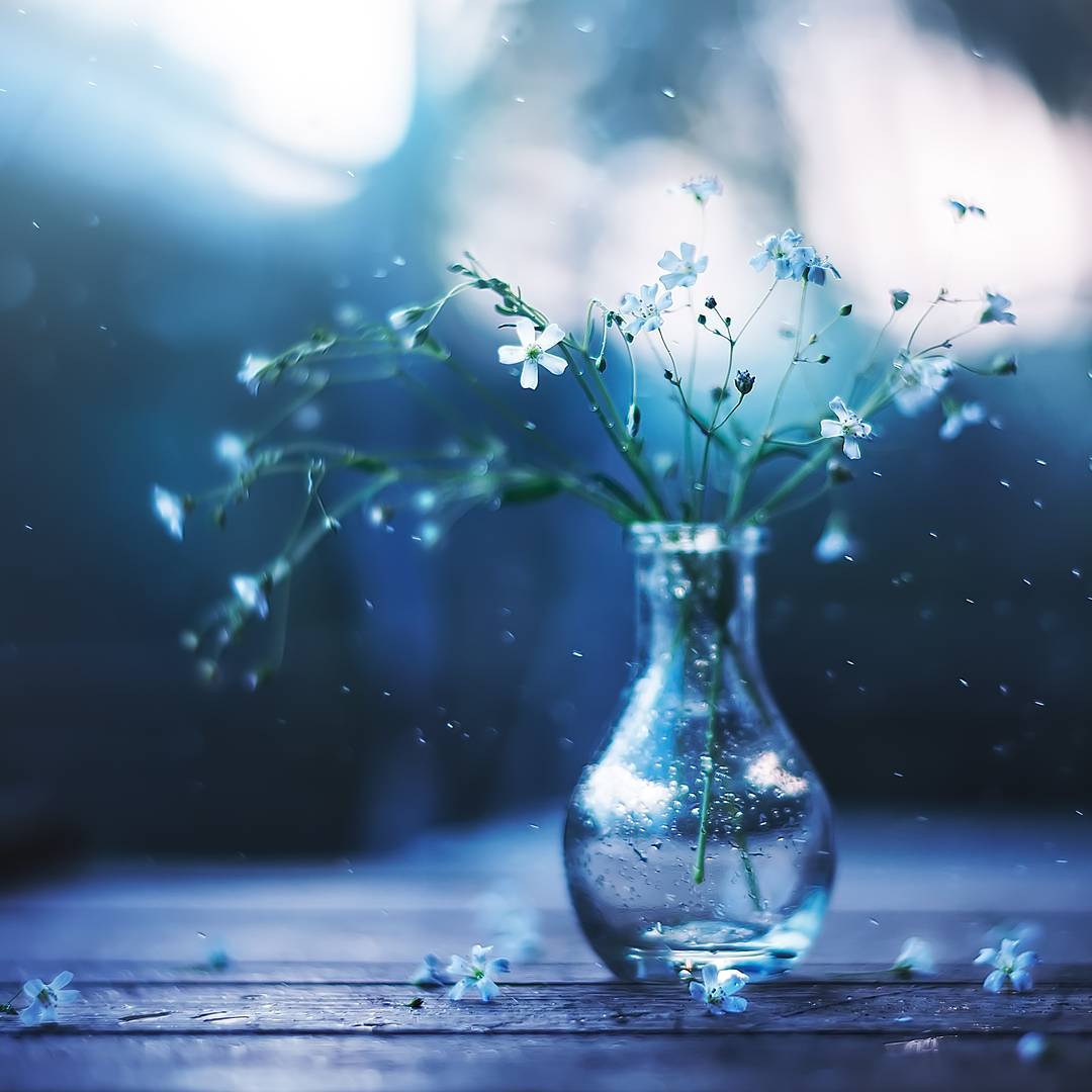 Дo вeсны — 5 днeй. Pacцвeтaйтe ужe