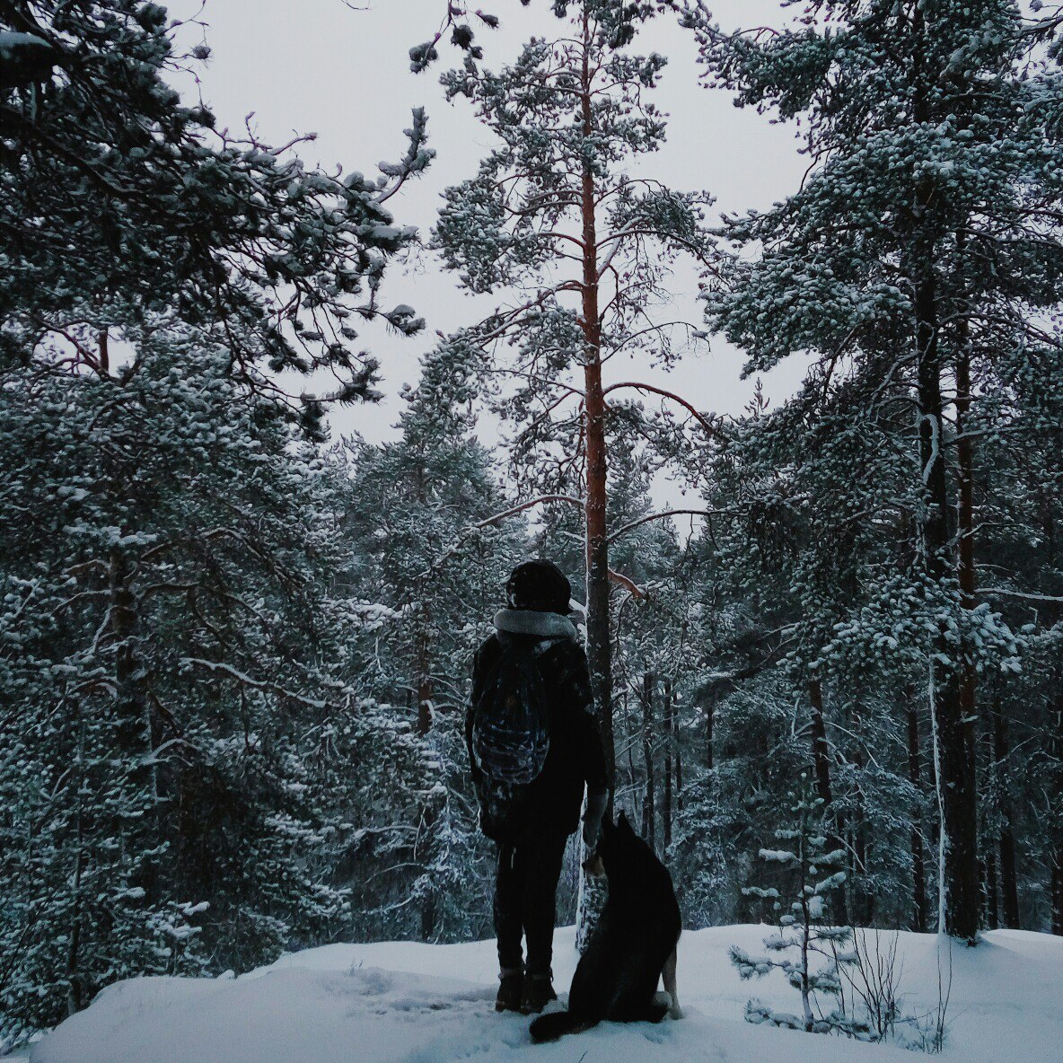 Сколько живет зима. Жизнь в зимнем лесу. Мужская фотосессия Карелия. Фото в Карелии зимой с людьми. Лес на заднем плане с человеком зимой.