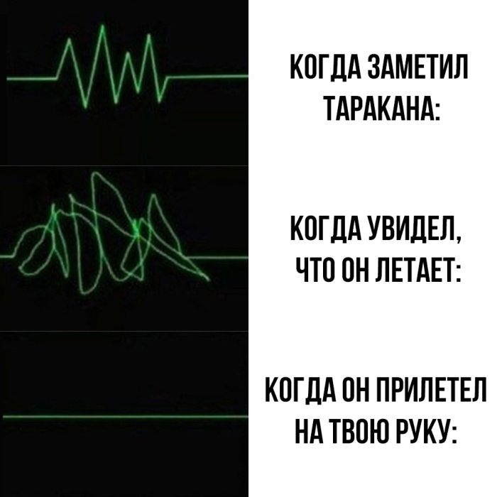 Юмор для тех, кто уже повзрослел и понял, что выходные — это миф Юмор для тех, кто уже повзрослел и понял, что выходные — это миф