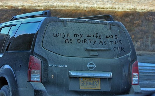 Занимательная Аляска Занимательная Аляска