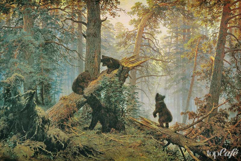 Утро в сосновом лесу