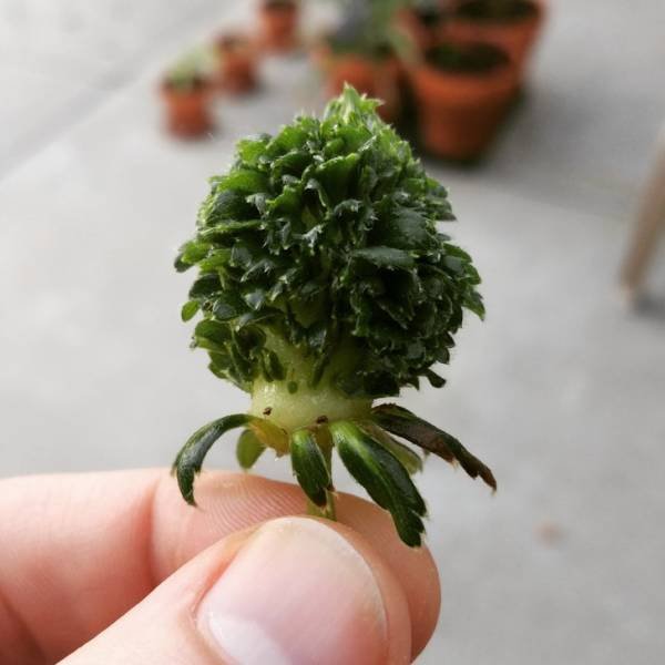 Подборка интересных фото со всего мира Подборка интересных фото со всего мира курьезы,природа,фотографии