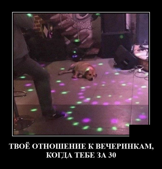 Смешные картинки в чёрной рамке для хорошего настроения! 