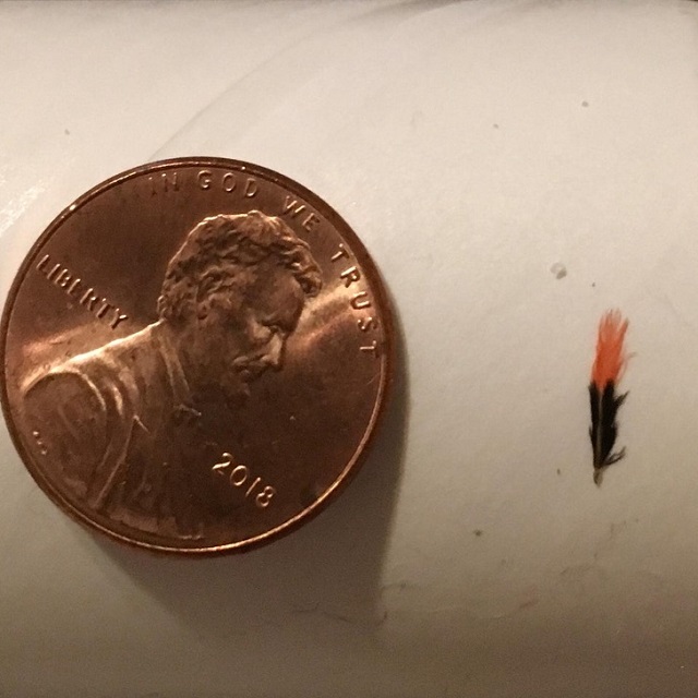 Подборка интересных фото со всего мира Подборка интересных фото со всего мира курьезы,природа,фотографии