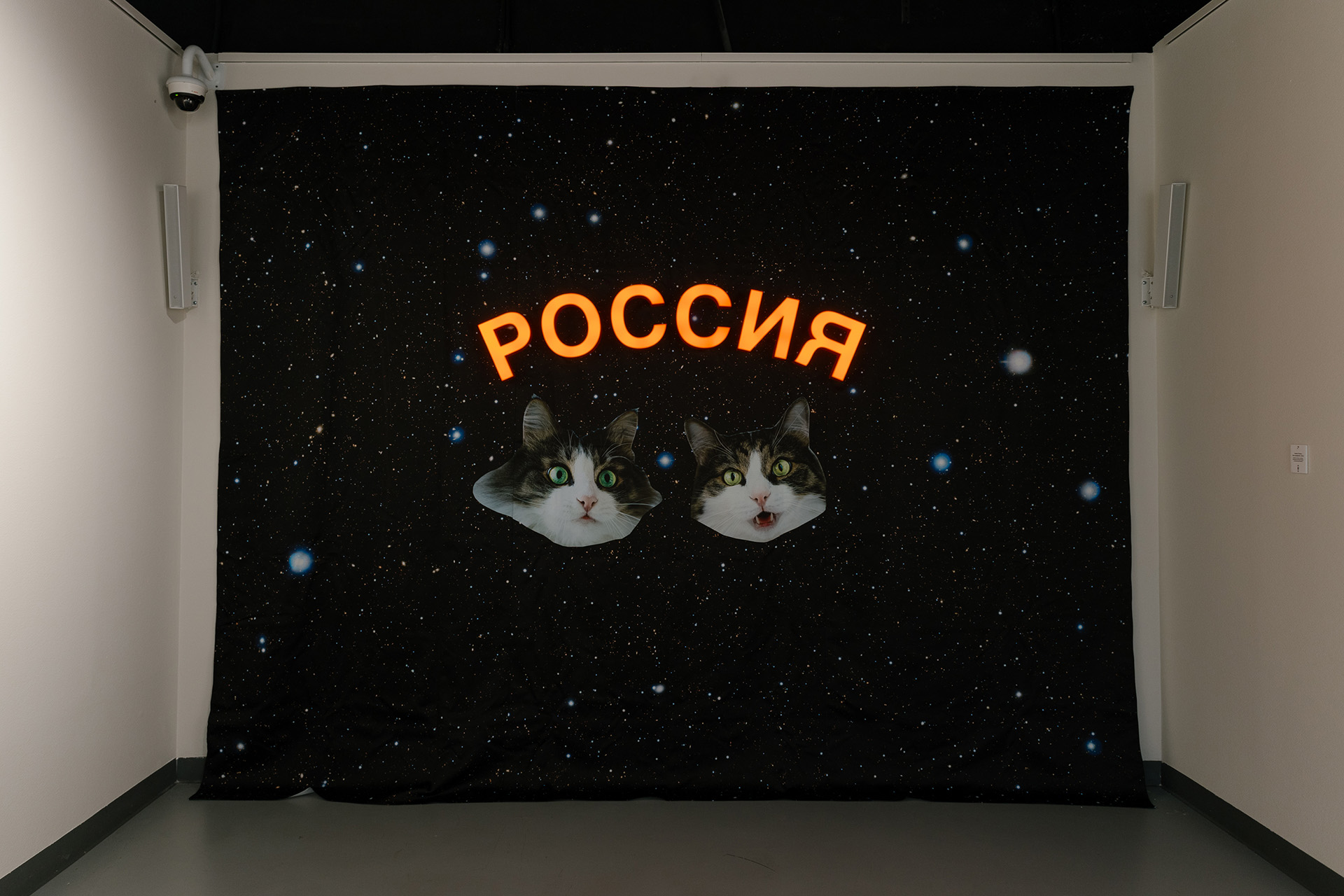 Алина Глазун, без названия, 2021 год