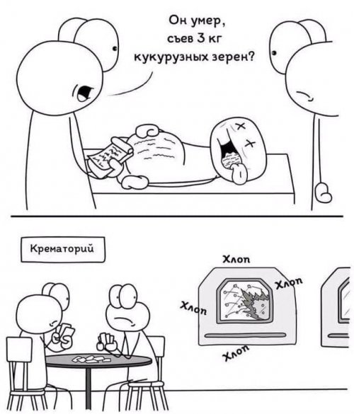 Свежие фото-приколы и картинки Свежие фото-приколы и картинки смешные картинки