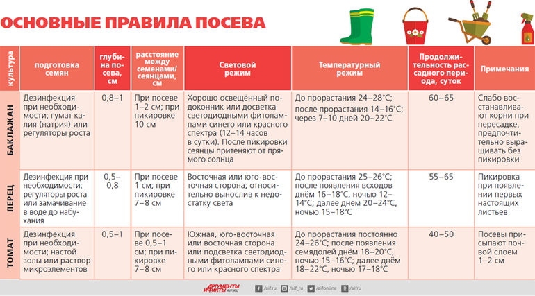 Сезон открыт! Пора готовить паслёновые на рассаду семена, растений, раствор, растения, перед, после, семян, рассада, минут, обработки, можно, конце, Семена, погружают, апреля, строго, первой, время, течение, рассады