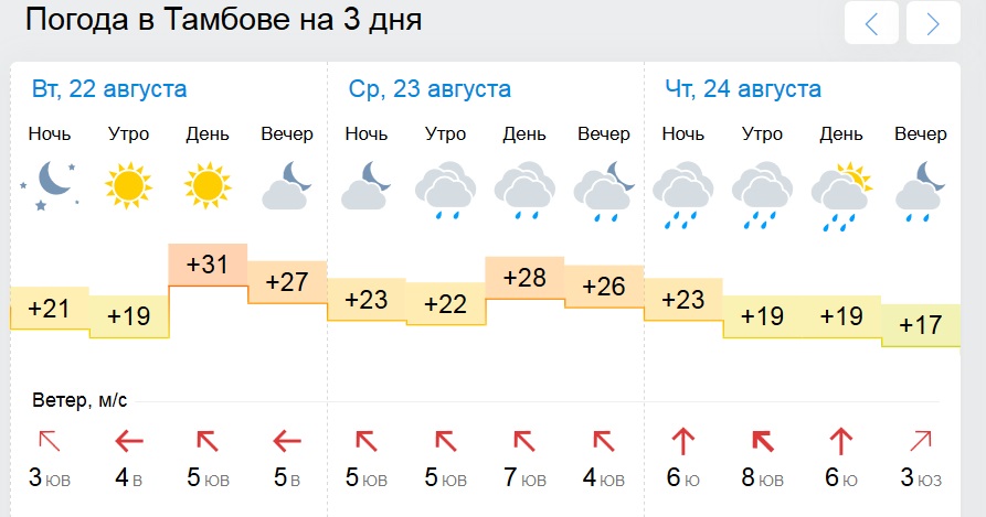 Погода в тамбове на 2 недели. Погода в Тамбове. Погода в Тамбове на 14 дней. Погода в Тамбове на 10 дней.
