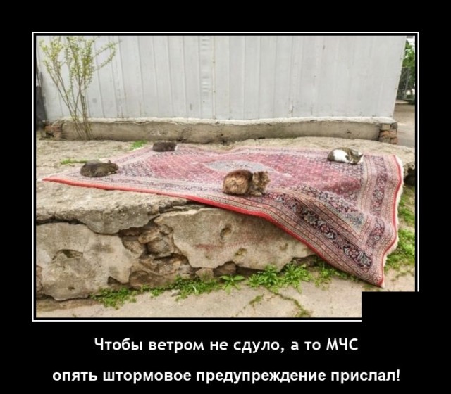 Новые демотиваторы Новые демотиваторы демотиваторы