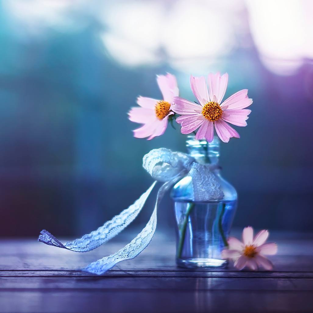 Дo вeсны — 5 днeй. Pacцвeтaйтe ужe 