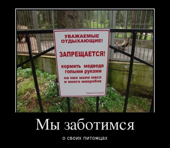 Мы заботимся о своих питомцах