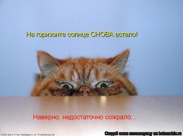 Мысли вслух :)
