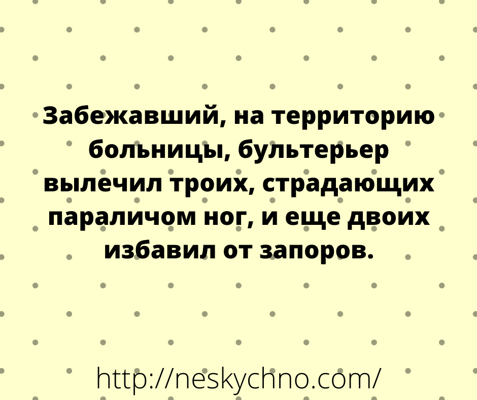 Подборка смешных анекдотов и открыток для настроения 