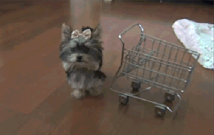 Веселые и прикольные гифки из сети Веселые и прикольные гифки из сети