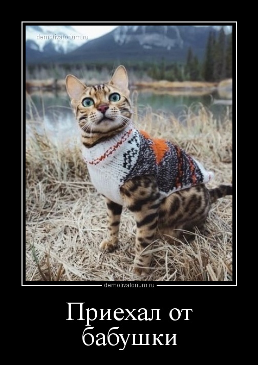 Подборка прикольных и смешных демотиваторов из сети