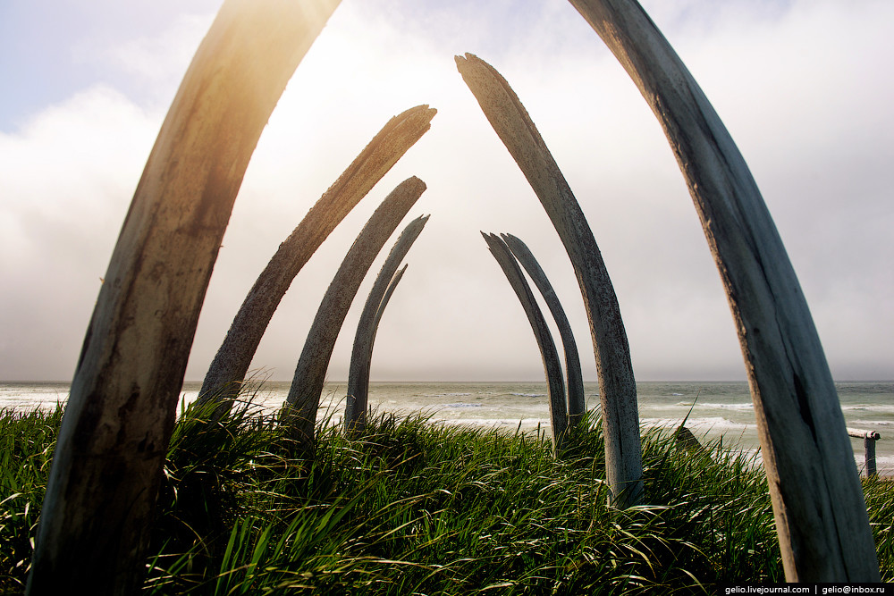 Линия перемены дат. Перелёт с Камчатки на Аляску через Тихий океан Линия перемены дат. Перелёт с Камчатки на Аляску через Тихий океан Аляска,путешествия,Россия,США,фоторепортаж