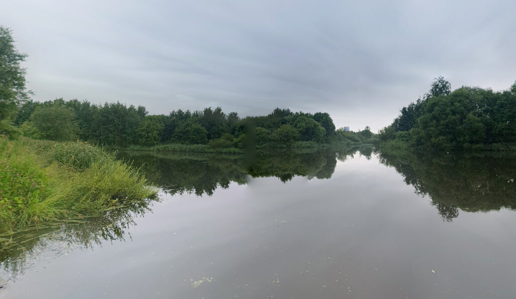 Не доплыл: в Пулковском парке мужчина утонул в пруду