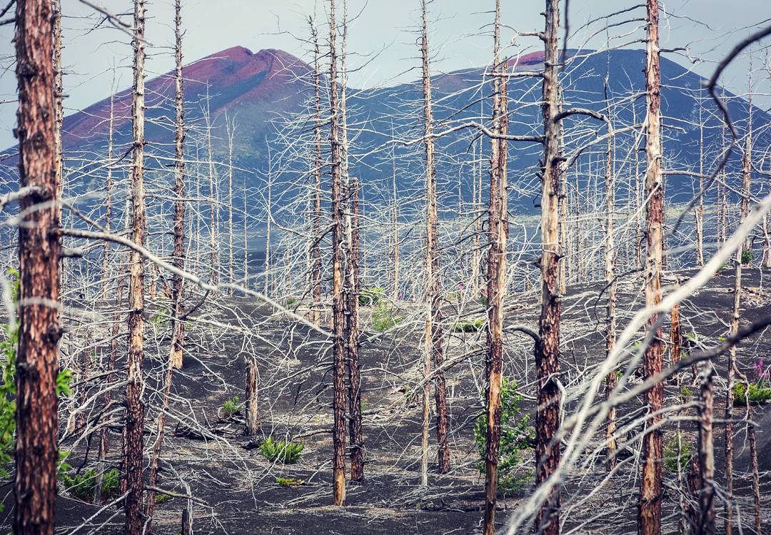 Как люди едут на Толбачик после извержения. Камчатка. Россия Как люди едут на Толбачик после извержения. Камчатка. Россия Война и мир
