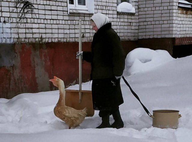 Где-то в России...