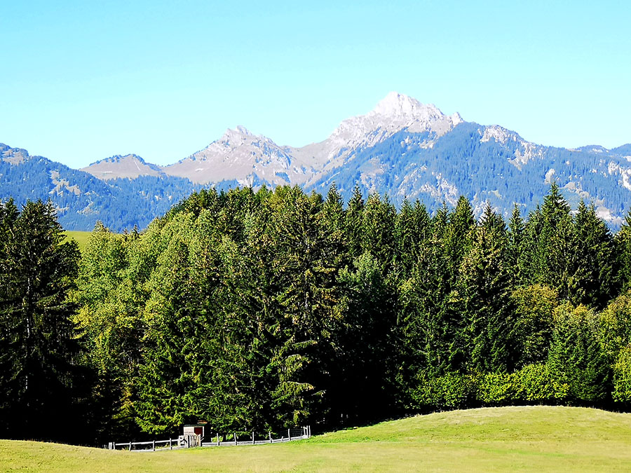 Необычный Кусочек Австрии: «Highline 179» И Озеро Планзее Необычный Кусочек Австрии: «Highline 179» И Озеро Планзее авиатур