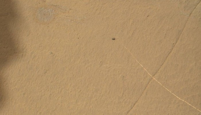 На Марсе появились живые камни