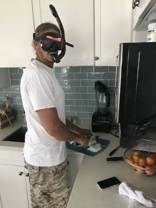 Приколы про лук Приколы про лук