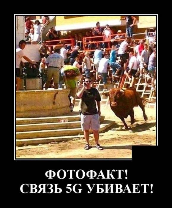 Смешные картинки в чёрной рамке для хорошего настроения! 