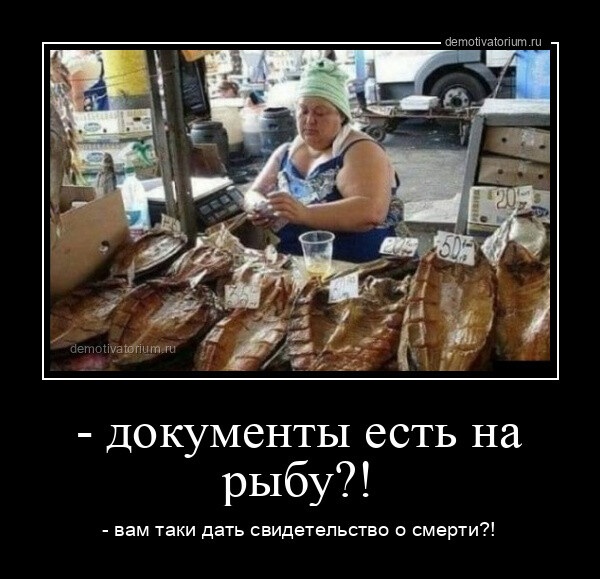 Демотиваторов порция 