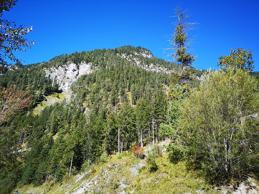 Необычный Кусочек Австрии: «Highline 179» И Озеро Планзее Необычный Кусочек Австрии: «Highline 179» И Озеро Планзее авиатур