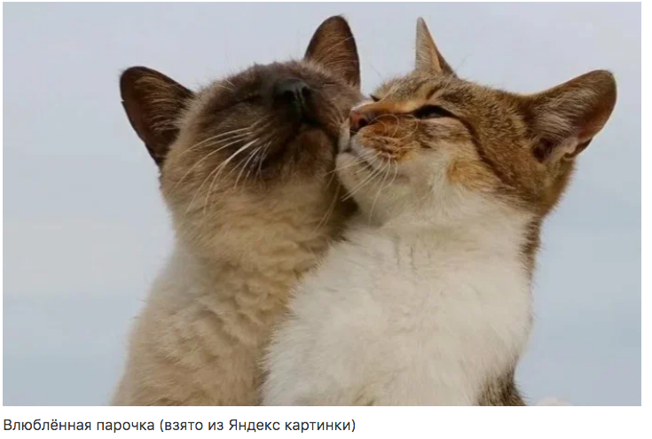 Сбежавший ужин Сбежавший ужин