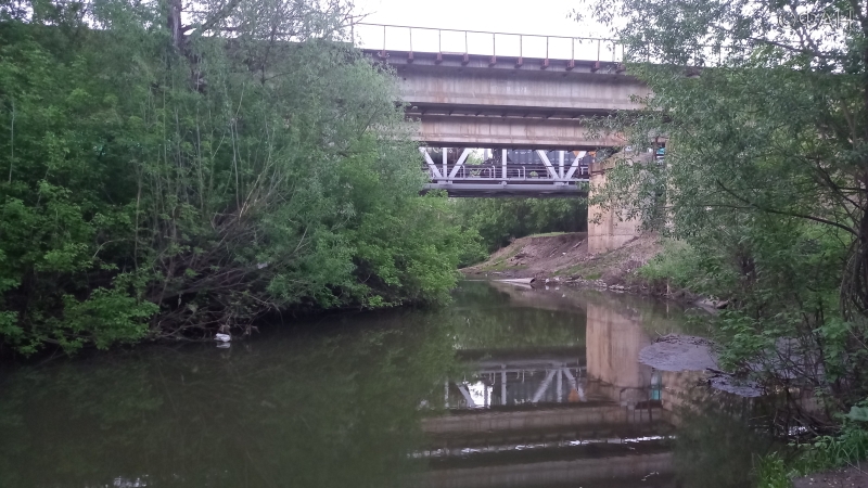Течет ручей: коммунальный коллапс стал причиной загрязнения реки в Мордовии