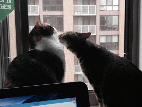 Френдзона — это то место, куда попадают и уже не возвращаются 