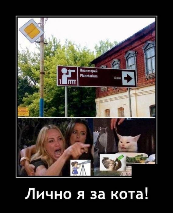 Смешные картинки в чёрной рамке для хорошего настроения! 