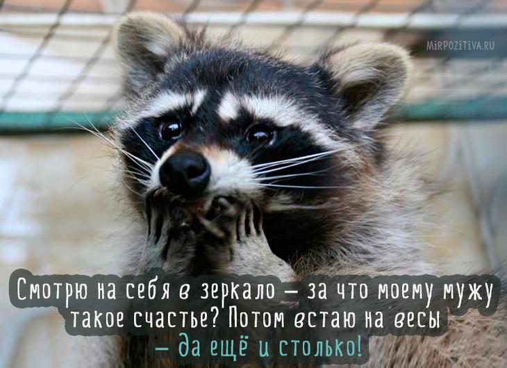 Подборка смешных картинок для хорошего настроения Подборка смешных картинок для хорошего настроения