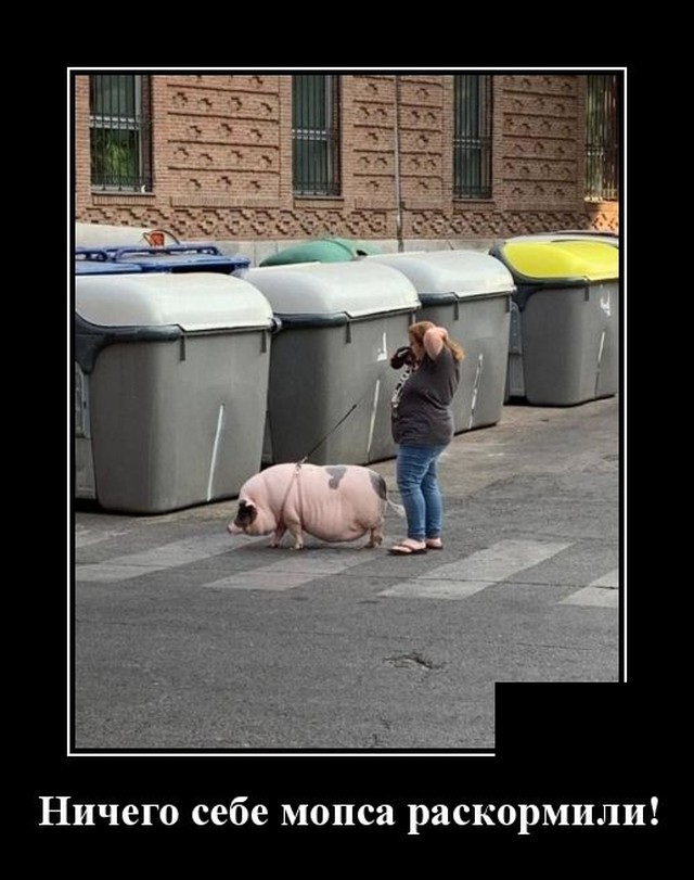 Новые демотиваторы Новые демотиваторы демотиваторы