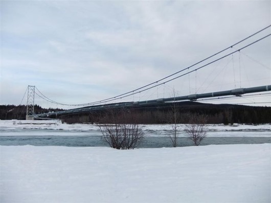 Занимательная Аляска Занимательная Аляска