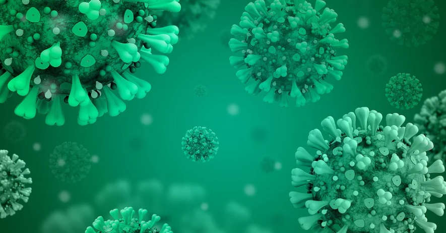 Оперштаб сообщил о 233 смертях из-за COVID-19 в России за сутки