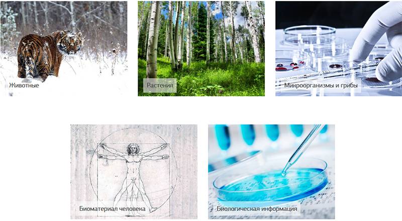 Обороняться нечем. Россия как полигон для «геноцидных войн» Обороняться нечем. Россия как полигон для «геноцидных войн» геополитика, россия